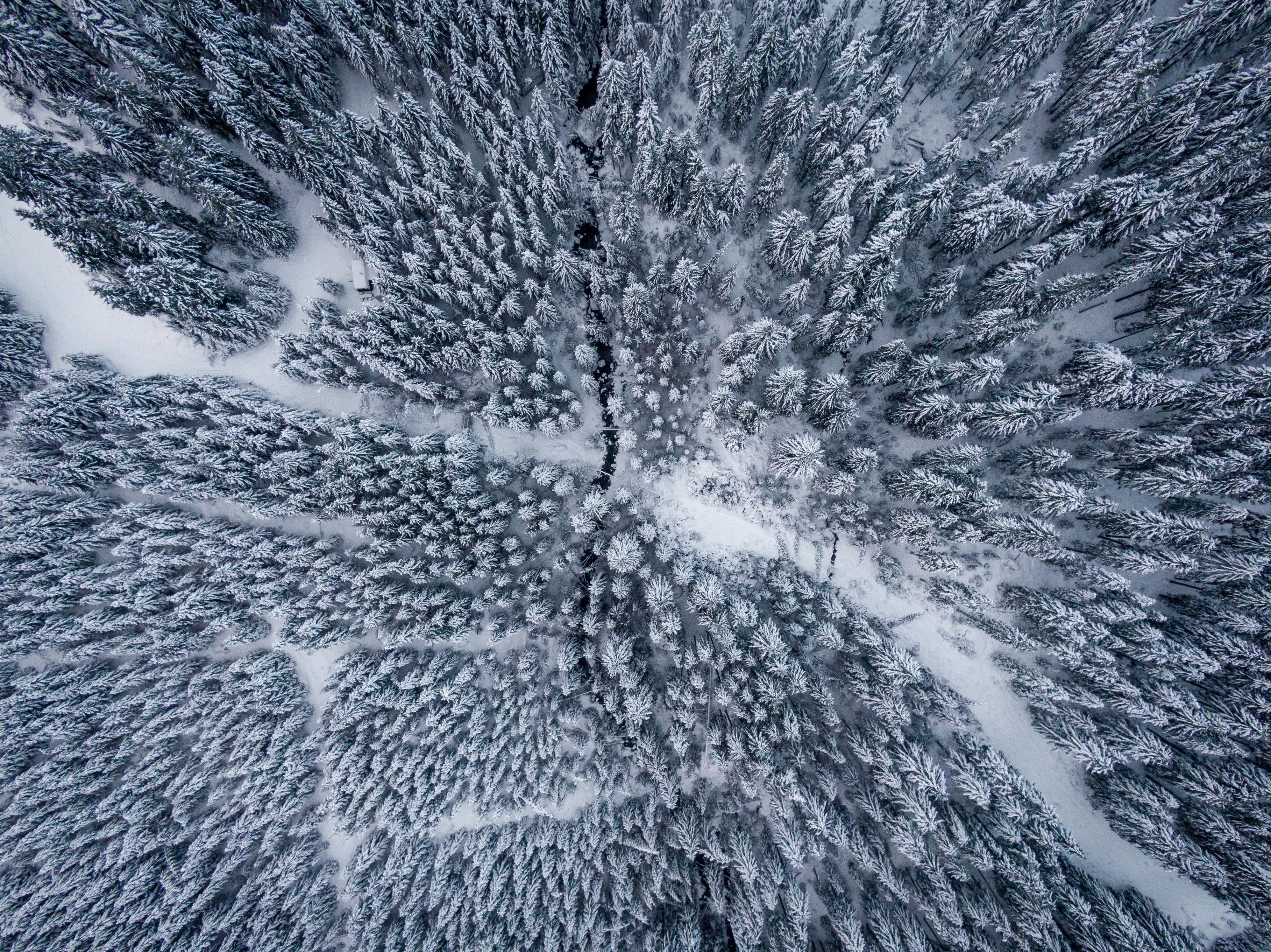 nature Photography